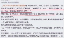主播爆料卓仕琳是谁啊视频,主播爆料，卓仕琳身份引热议！